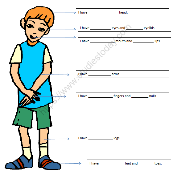 cbse class 1 evs revision worksheet set e practice